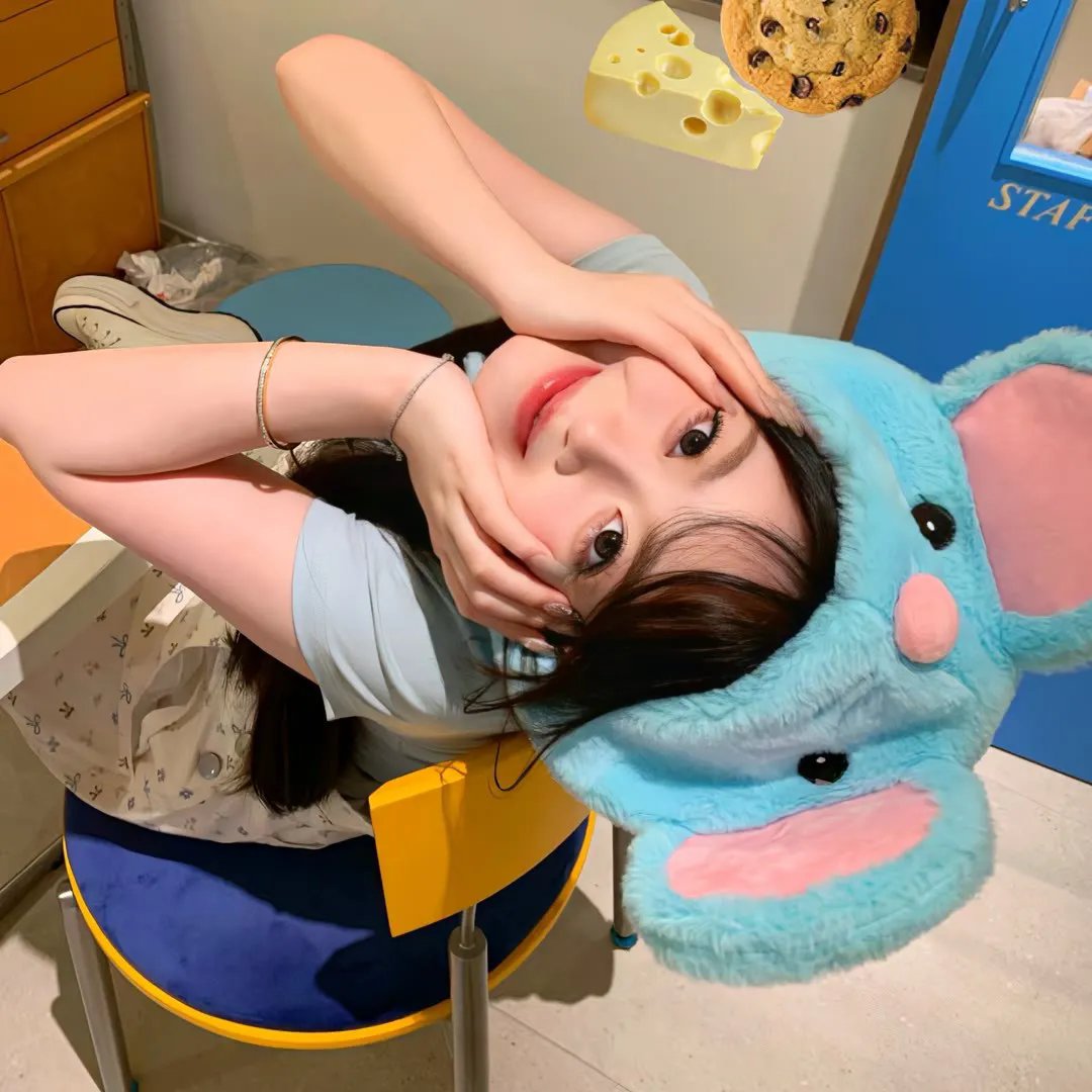 疯子封面