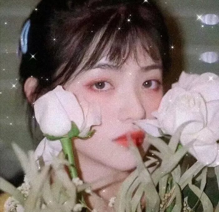 甜蜜的谎言封面